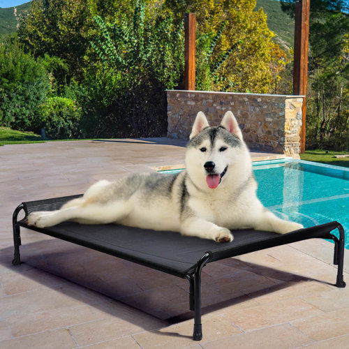 Tucker Murphy Pet™ Cooling Elevated Dog Bed, Outdoor Raised Dog Cots